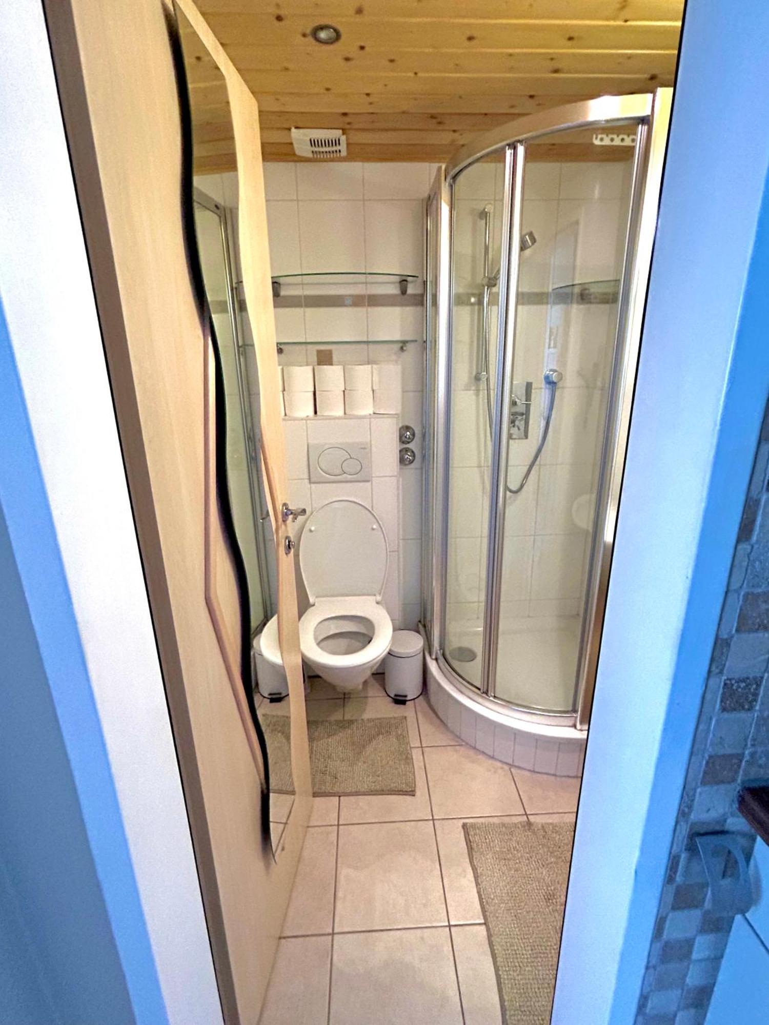 Alpine Apartment Schladming Mit Sauna Und Pool المظهر الخارجي الصورة