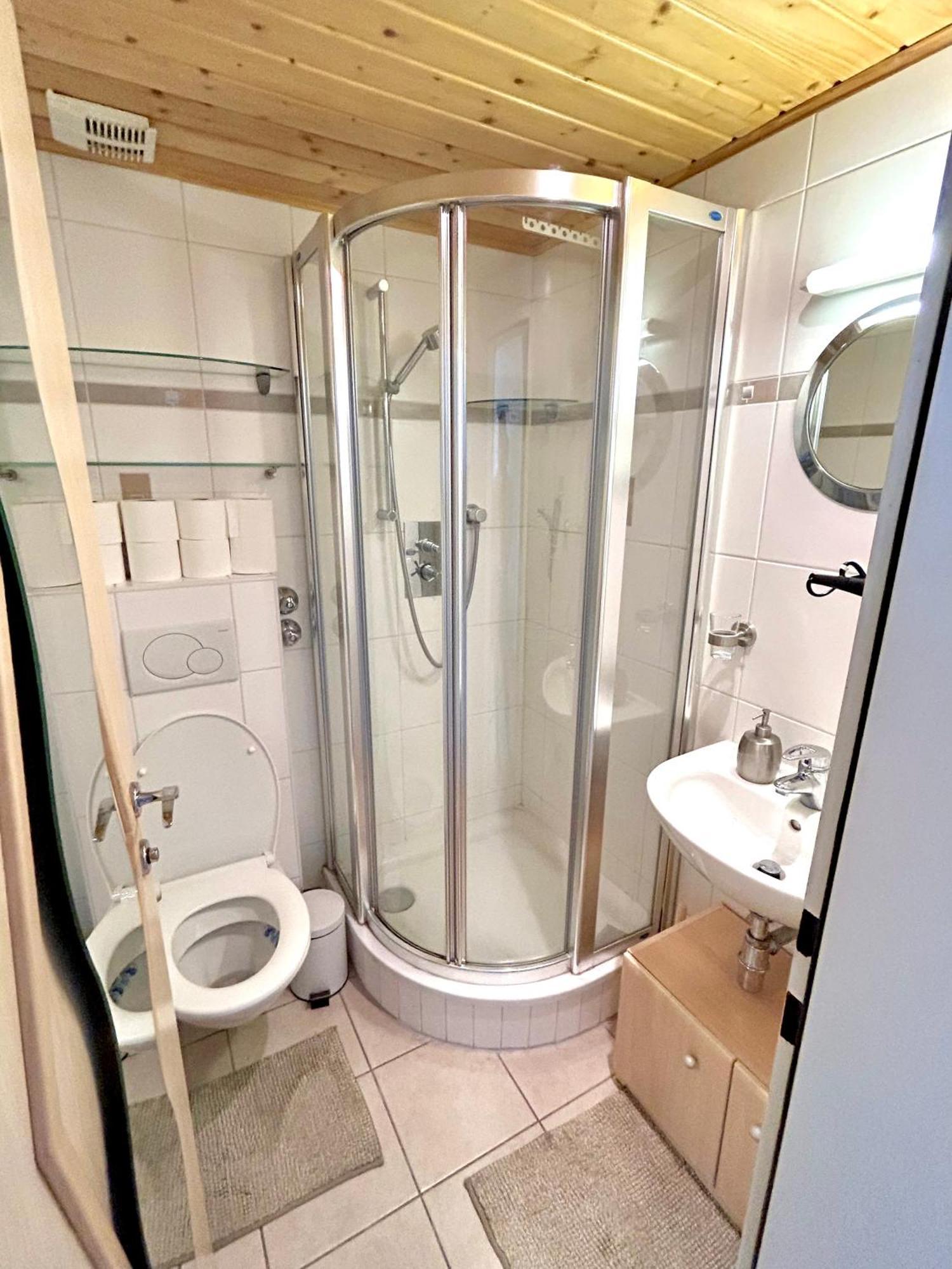 Alpine Apartment Schladming Mit Sauna Und Pool المظهر الخارجي الصورة